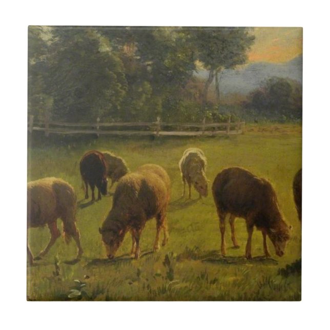 Sheep in a Rural Landscape (French Farm) Tile (Front)