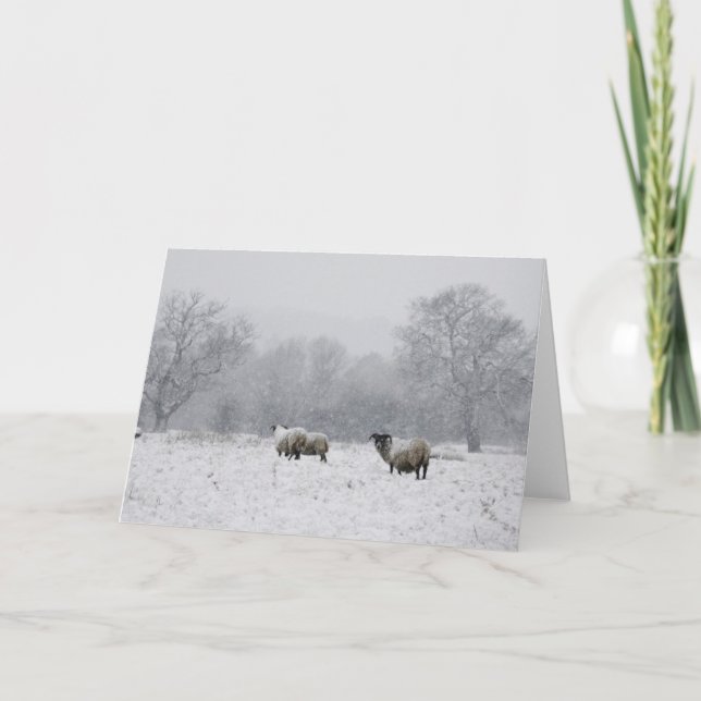Sheep in a snowy field holiday card (Front)