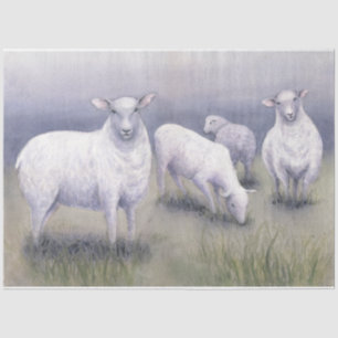 Sheep in Field Tissue Paper