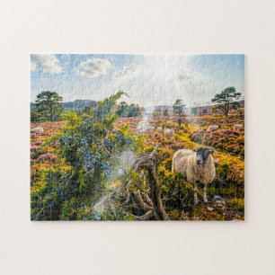 Sheep in heath with juniper tree jigsaw puzzle