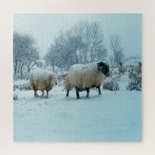 Sheep in Snow Winter Scene Jigsaw Puzzle