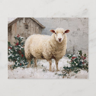 Sheep in Snowy Winter Scene Postcard