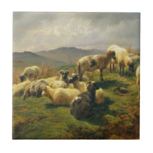 Sheep in the Highlands by Rosa Bonheur Tile