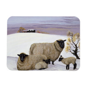 Sheep in Winter Magnet