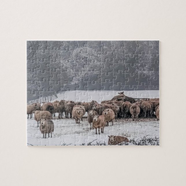 Sheep Jigsaw Puzzle (Horizontal)