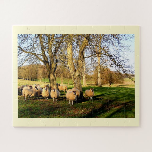 Sheep Jigsaw Puzzle (Horizontal)
