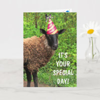 Sheep Joke Pun Birthday