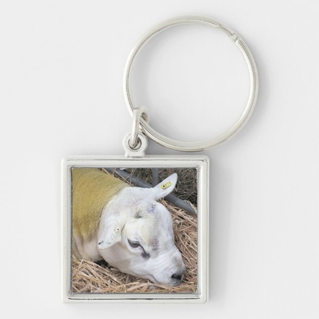 SHEEP KEYCHAIN (Front)