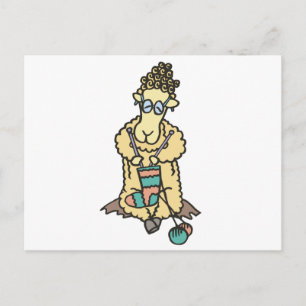 Sheep Knitting Postcard