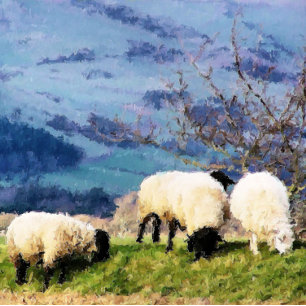 SHEEP LABEL