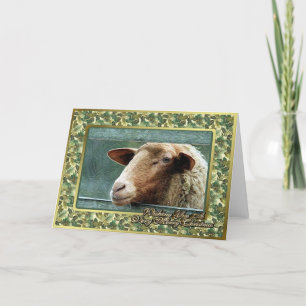 Sheep Lamb Blank Christmas Card