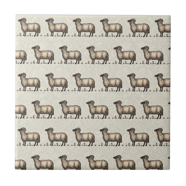 Sheep Lamb Farm Animal Vintage Tile (Front)
