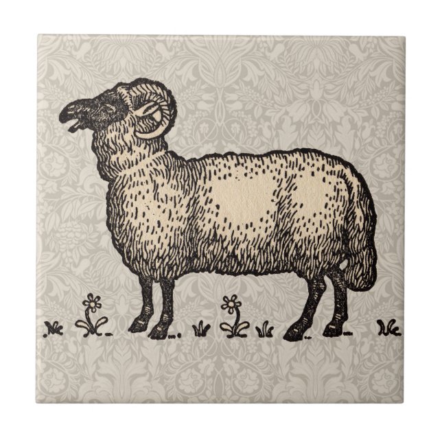 Sheep Lamb Farm Animal Vintage Tile (Front)