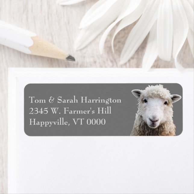 Sheep Lamb Farm Animals Label (En situation)