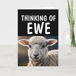 SHEEP LAMB FUNNY PUN HELLO Cartes de voeux