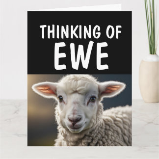 SHEEP LAMB FUNNY PUN HELLO Greeting Cards