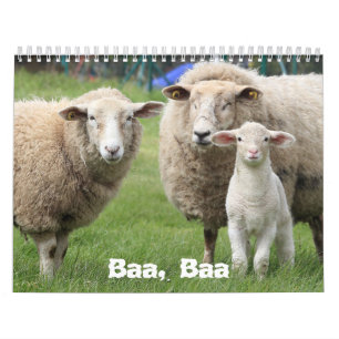 Sheep Lovers Calendar, Sheep Photographs Calendar