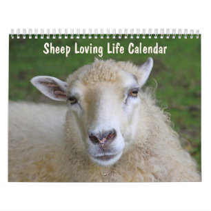 Sheep Loving Life Calendar
