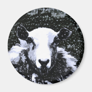 SHEEP MAGNET