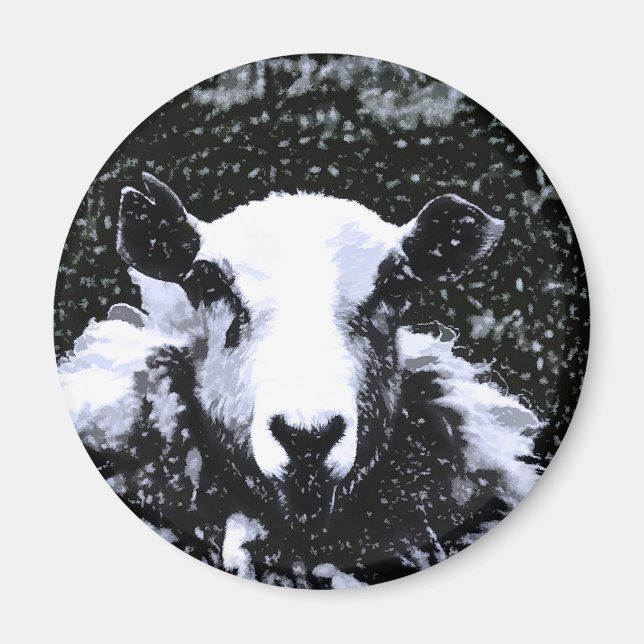 SHEEP MAGNET (Front)
