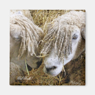 SHEEP MAGNET