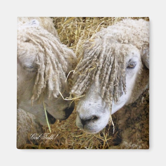 SHEEP MAGNET (Front)