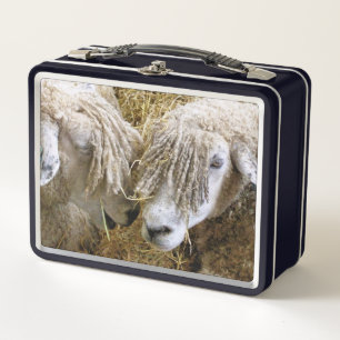 SHEEP METAL LUNCH BOX