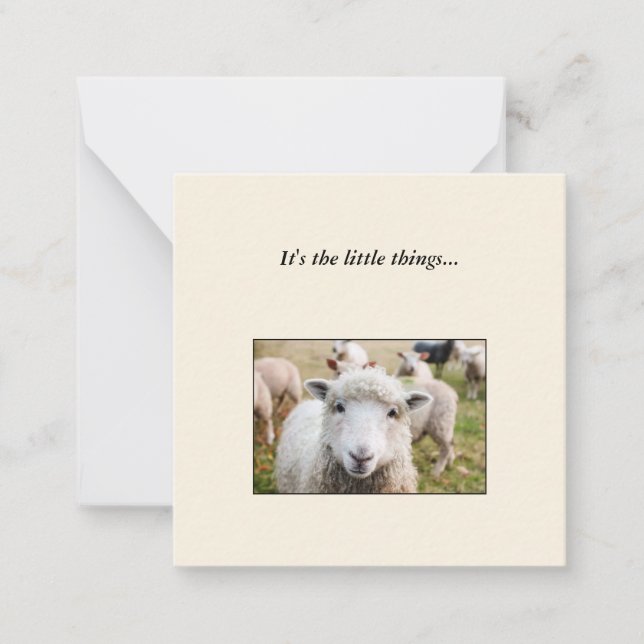 Sheep Mini Thank You Note Card (Front)