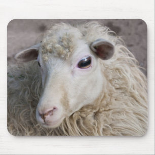 Sheep Mousepad