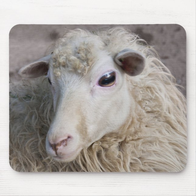 Sheep Mousepad (Front)