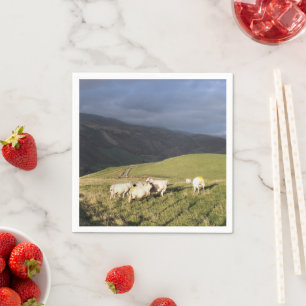 SHEEP NAPKIN