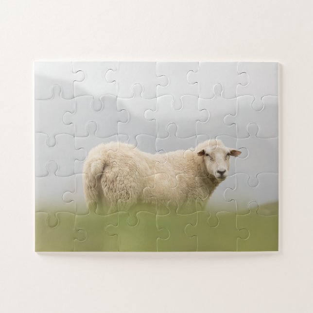 Sheep Nature Photo Jigsaw Puzzle (Horizontal)