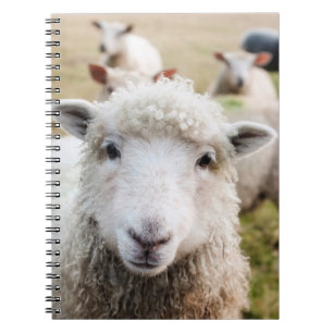 Sheep Notebook