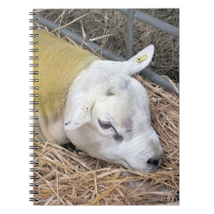 SHEEP NOTEBOOK
