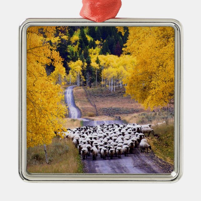 Sheep on Country Road Metal Ornament (Front)