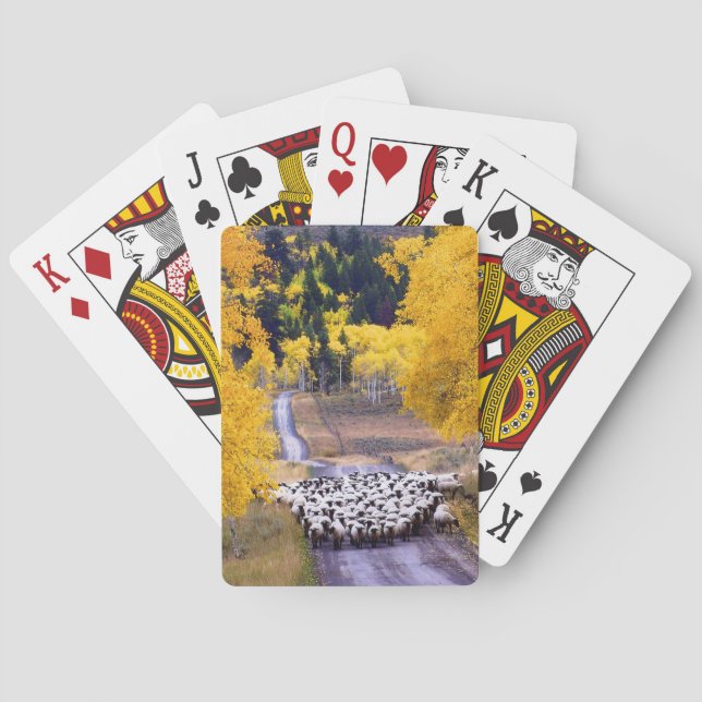Sheep on Country Road Playing Cards (Back)