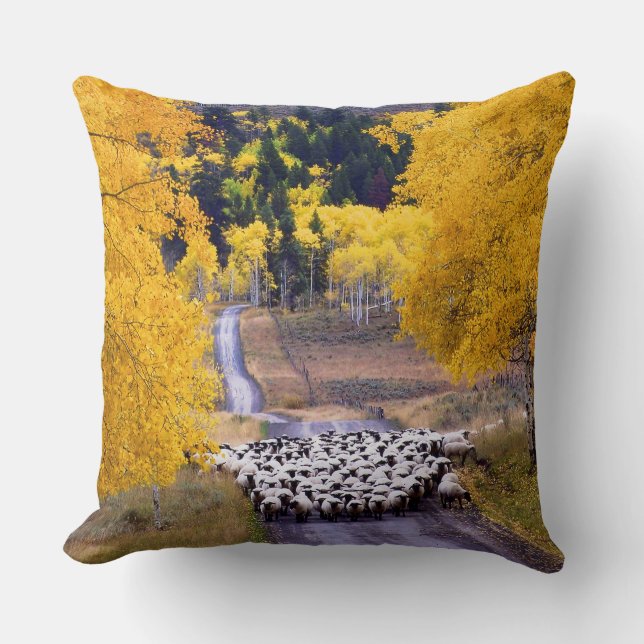 Sheep on Country Road Throw Pillow (Front)