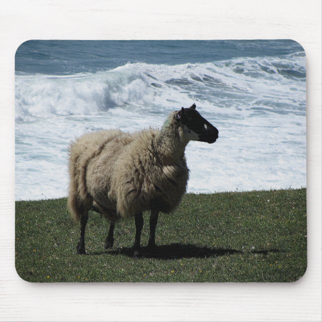 Sheep on wild south Devon coastline Mouse Pad (Front)