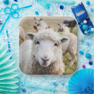 Sheep Paper Plate