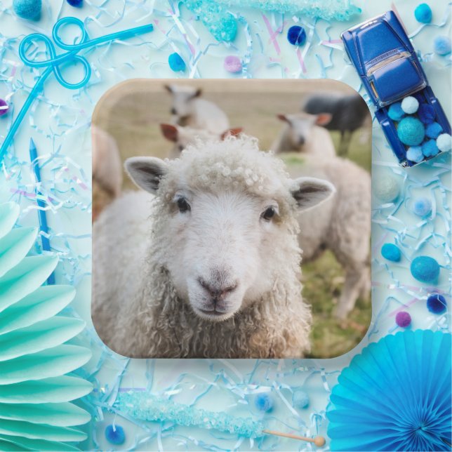 Sheep Paper Plate (Party)