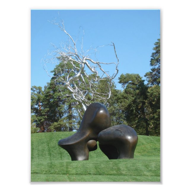 Sheep Piece and a Tree Photo Print (Front)