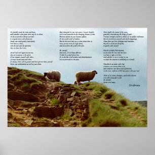 Sheep placidly in silence on Mountain Desiderata Poster
