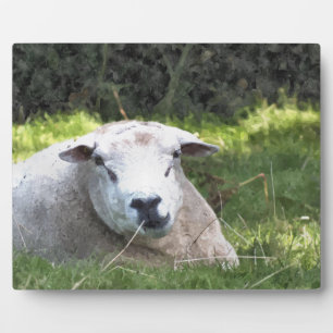 SHEEP PLAQUE