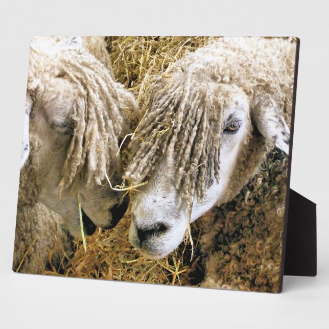 SHEEP PLAQUE (Side)