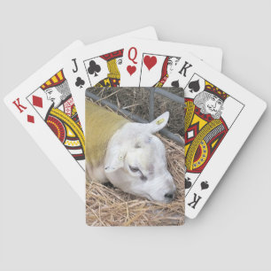 SHEEP PLAYING CARDS