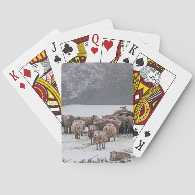 Sheep Playing Cards (Back)