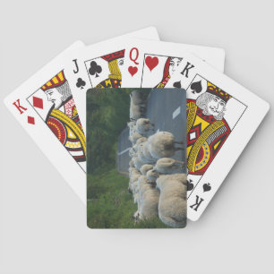 Sheep Playing cards