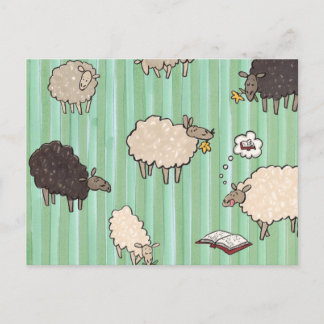 Sheep Postcard