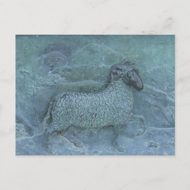 Sheep Postcard (Front)