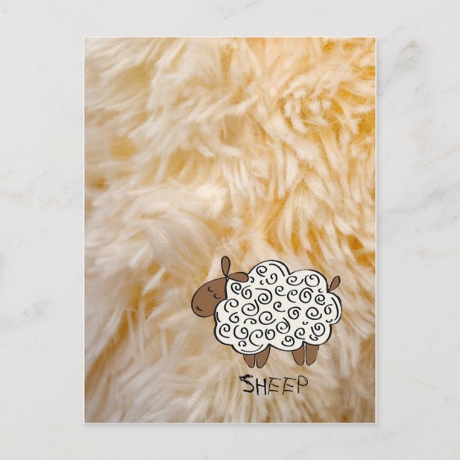 Sheep Postcard (Front)